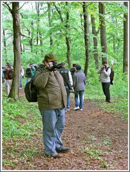 portret-de-oana-b-12