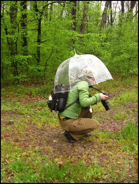 steluta-popescu-de-ana-maria-neacsa