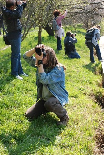 grup-3-by-florijianu