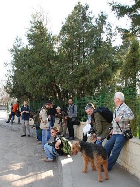 grup-4-by-florijianu