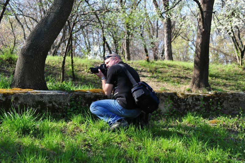 portret-de-dan-pop-11