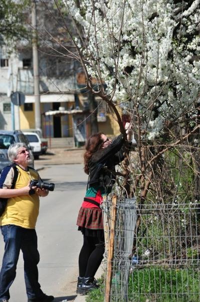 portret-de-dan-pop-4