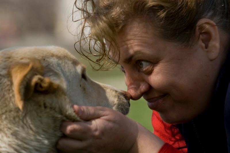 portret_de-dan-sendroiu