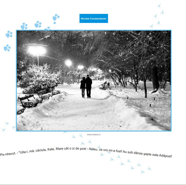 nicolae-constandache