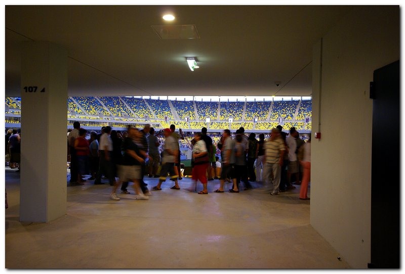 stadionul-national_039