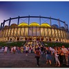 stadionul-national_045
