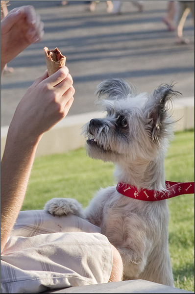 serban-vornicu_arena-nationala_20