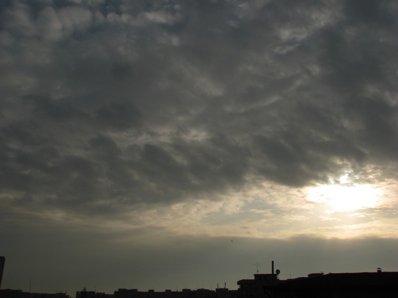 rasar2011_0310_080905