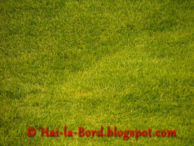 gazon-inaugurare-arena-nationala-bucuresti