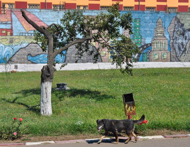 1068-vesela-puscarie