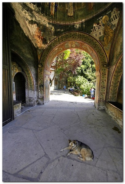 best-of-this-week_021