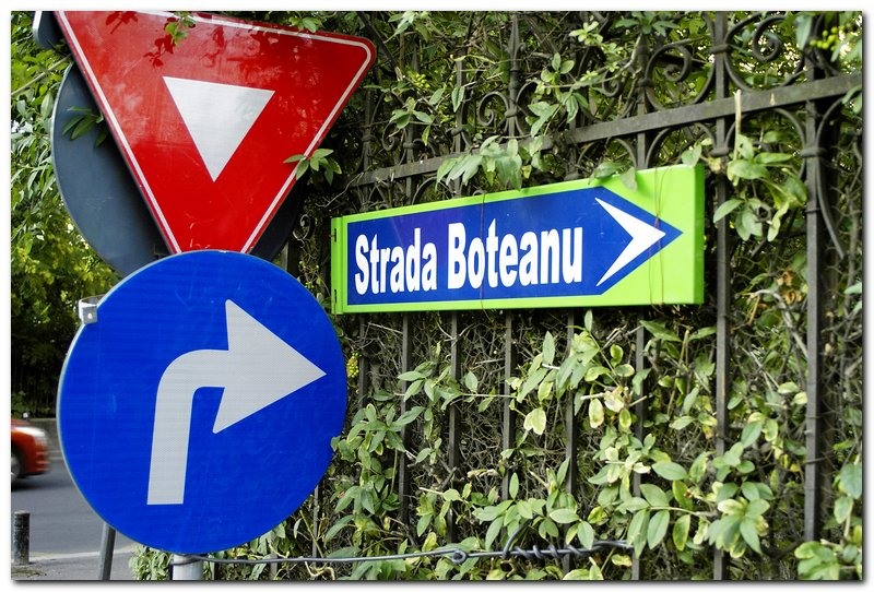 best-of-this-week_026