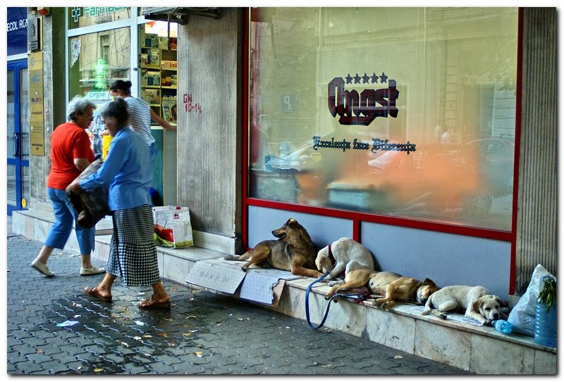 best-of-this-week_029