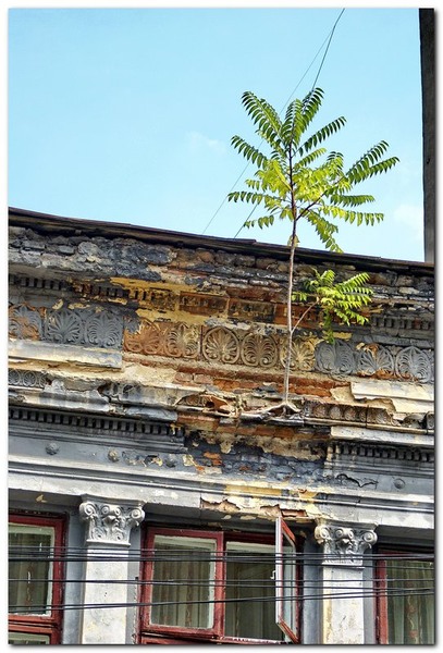 best-of-this-week_030