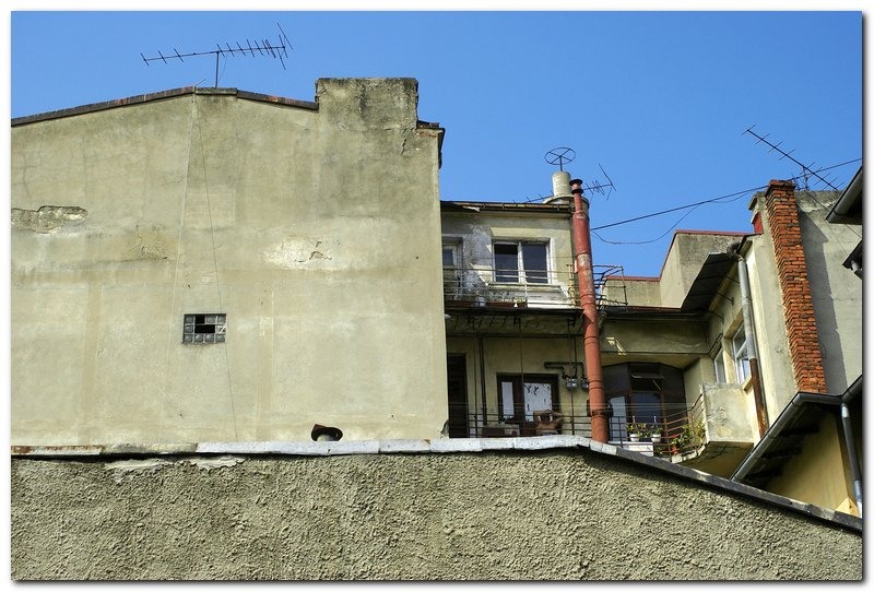 best-of-this-week_032