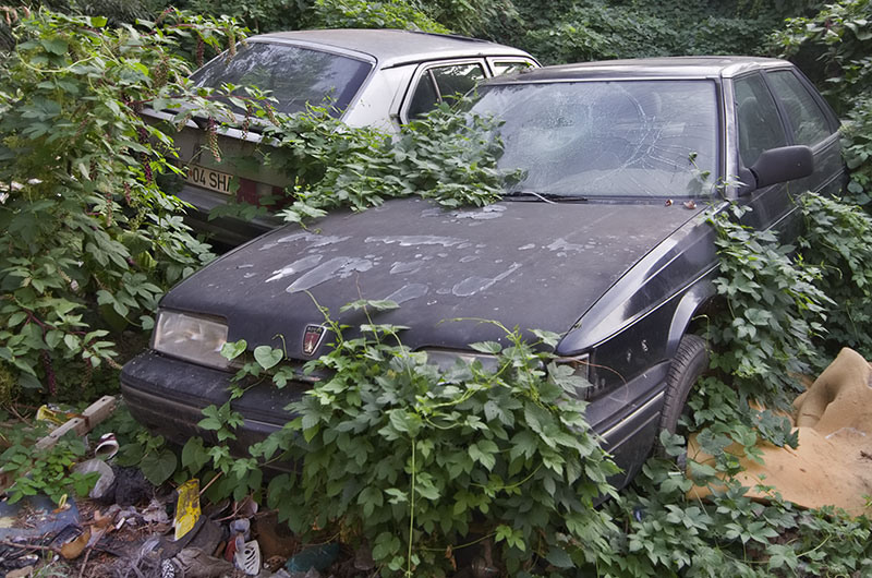 serbanvornicu_pesplaispreopera_07