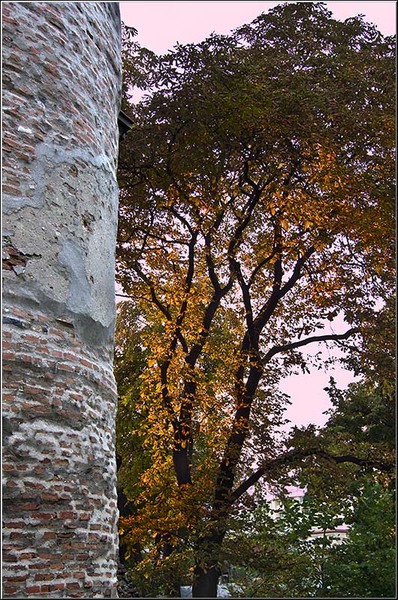 serbanvornicu_pesplaispreopera_14