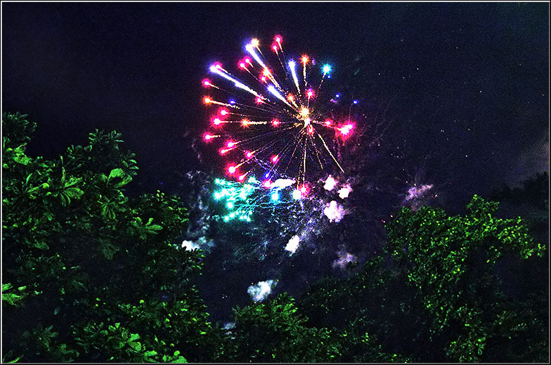 serbanvornicu_pesplaispreopera_39