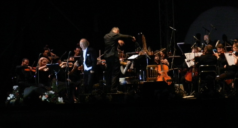 3-pompeiu-harasteanu