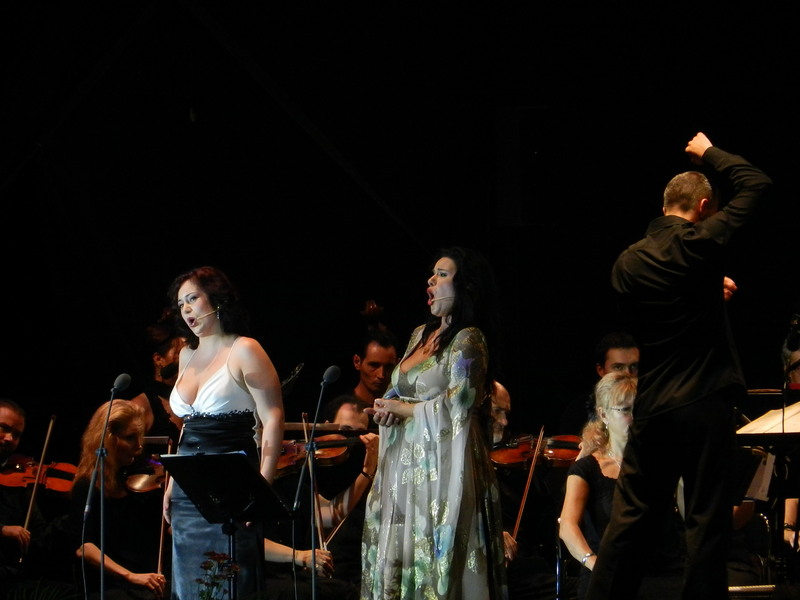 9-irina-iordachescu_sorana-negrea