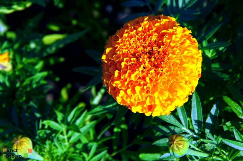 302227_10150282115029219_639314218_7894495_5873068_n