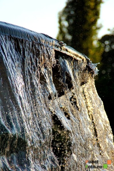 308010_10150282115209219_639314218_7894501_6178418_n