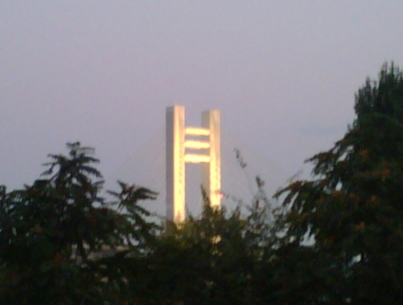 img03911-20110903-2000