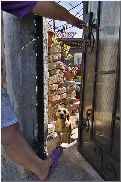 serbanvornicu_ferentari2011_08