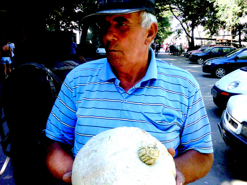 img03937-20110910-1227_ps