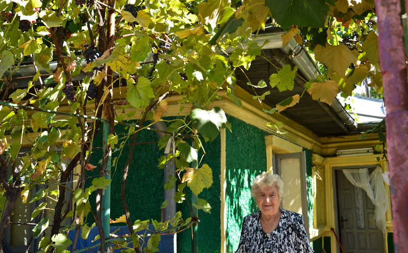 casutza-mea-cu-vitza