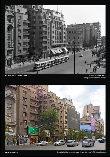 ta_iv_catalina-oprea