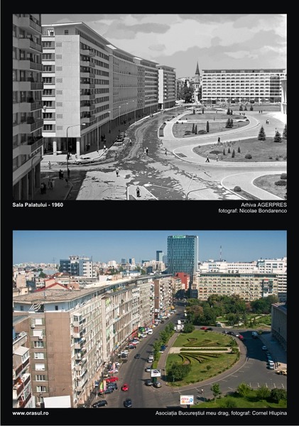 ta_iv_cornel-hlupina