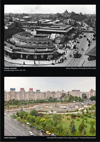 ta_iv_crisanta-maciuceanu