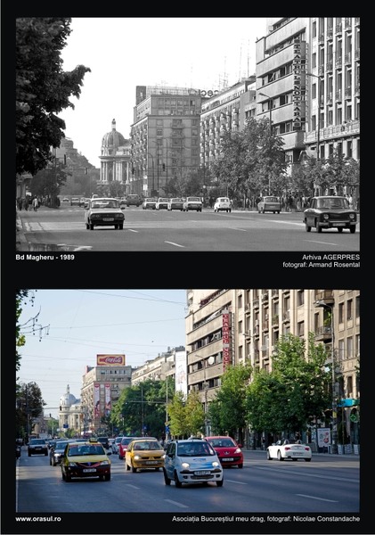 ta_iv_nicolae-constandache