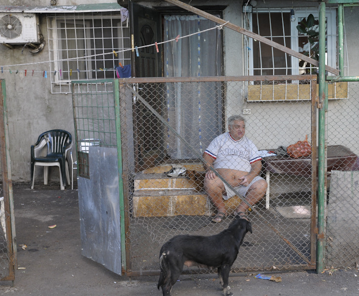 Paza severa plus caine