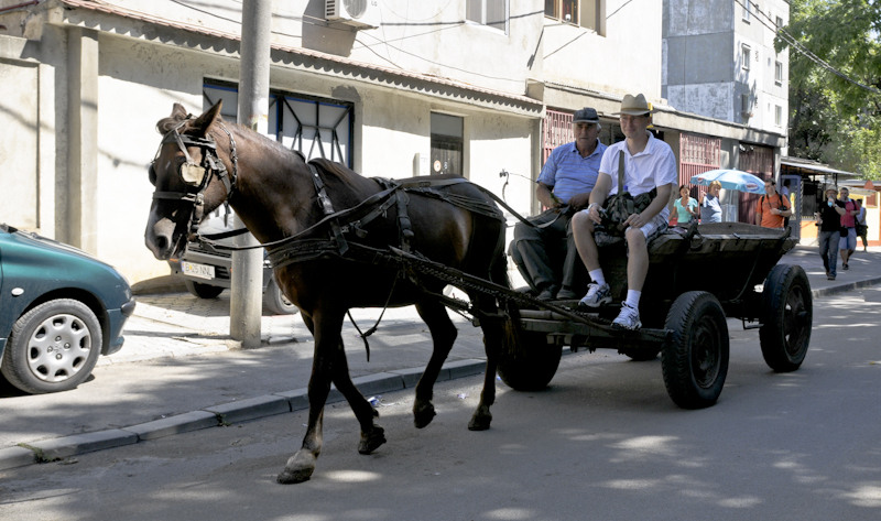 Inmatriculat in BG si sec 5