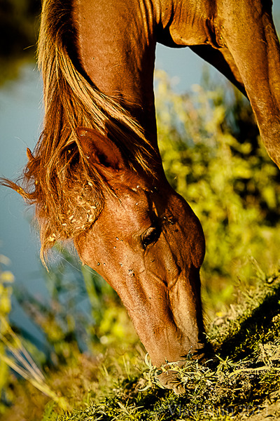 Tot soarele doar pentru mine!