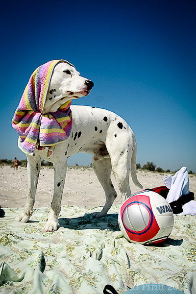 Azi ne jucam cu mingea