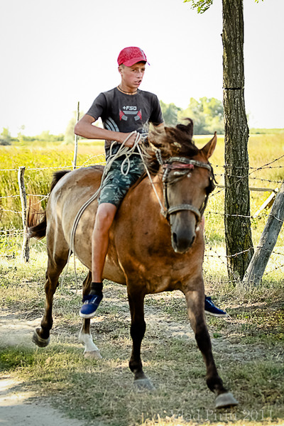 Fugiti, ca vin turistii!!