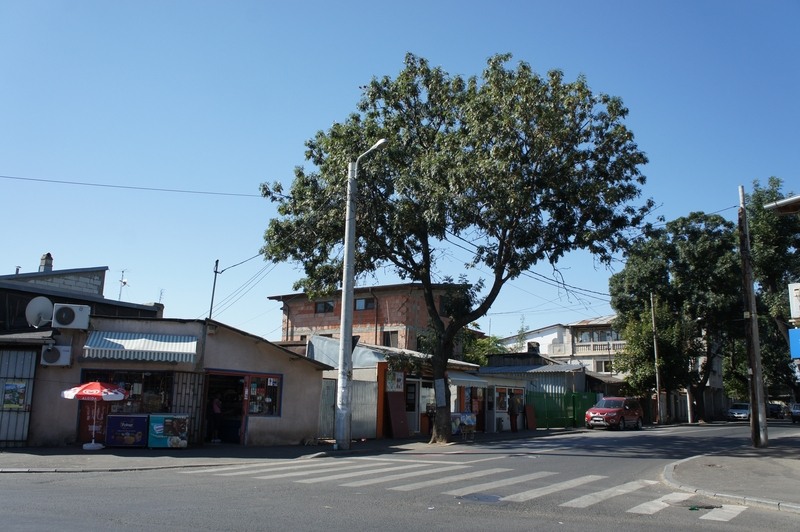 ab-ferentari-2011-18