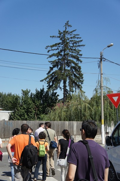 ab-ferentari-2011-25