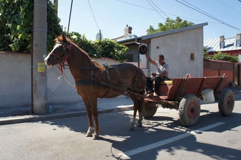 ab-ferentari-2011-28