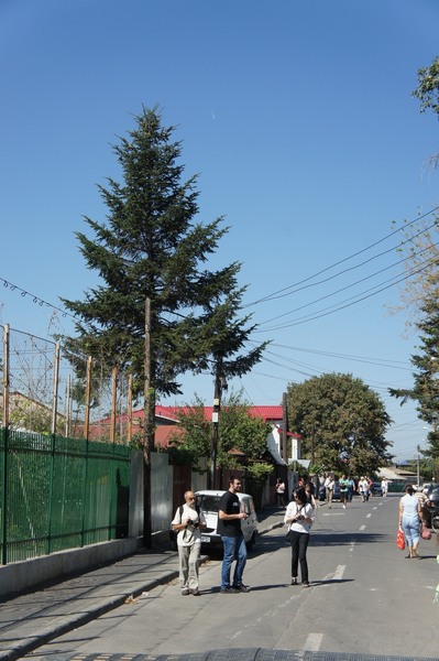 ab-ferentari-2011-31