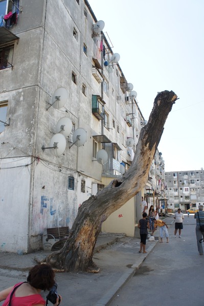 ab-ferentari-2011-43