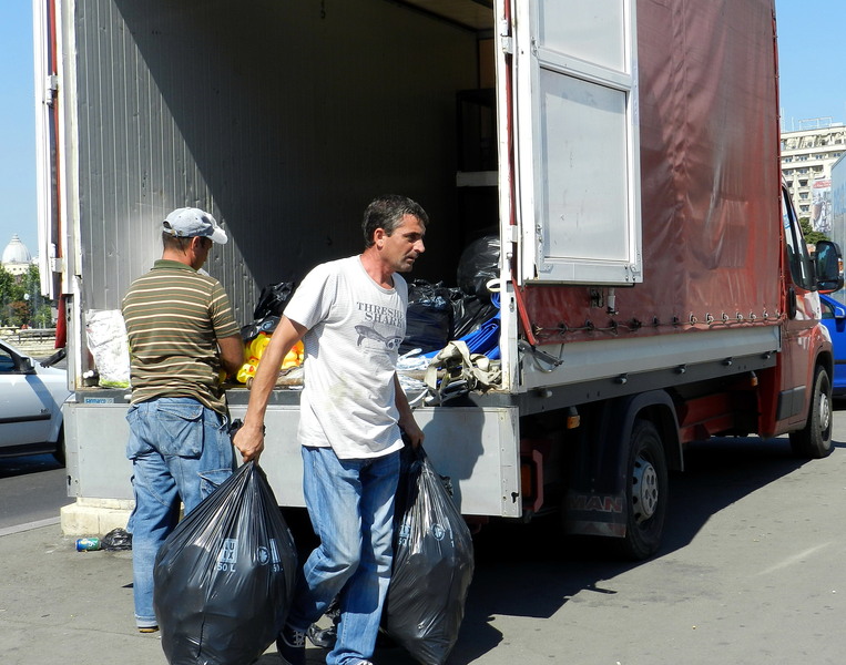 24 Cursa de ratze ProFM