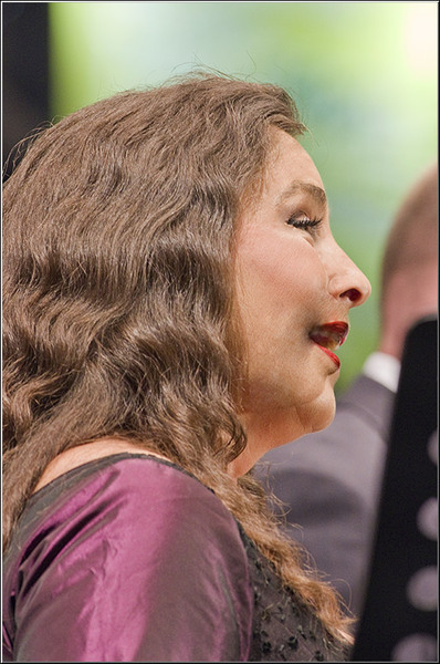 serbanvornicu_festivalenescu2011_11