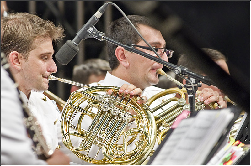 serbanvornicu_festivalenescu2011_13