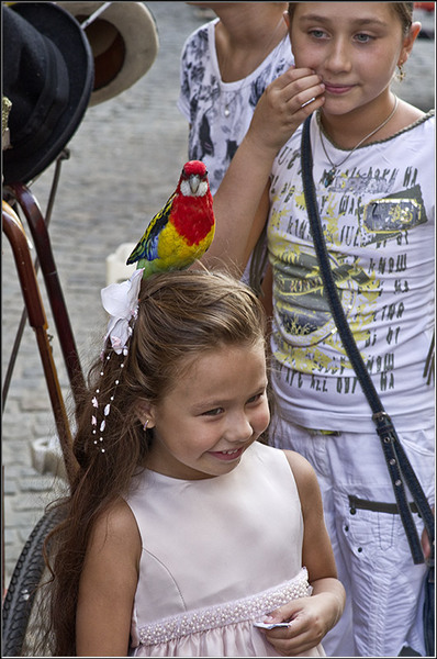 serbanvornicu_zilelebucurestiului2011_23