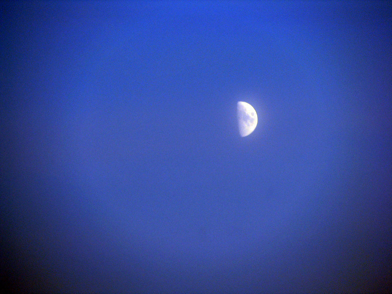 20090729_cpopescu_07