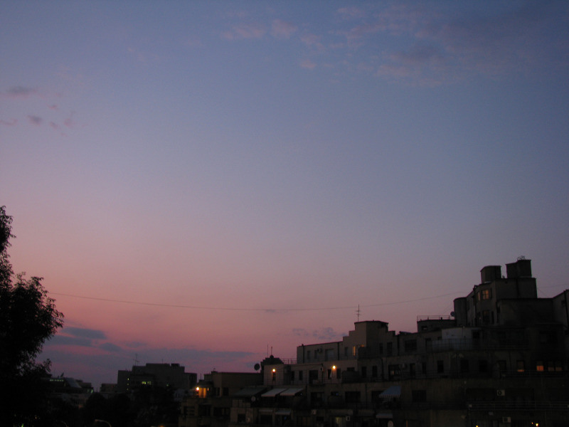 20090729_cpopescu_08